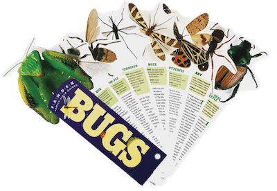 BugsFandexSmaller