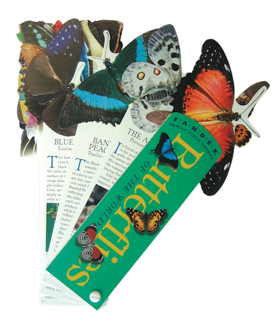 ButterflyFandexSmaller