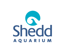 Shedd Aquarium Virtual Learning