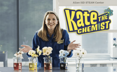 kate the chemist